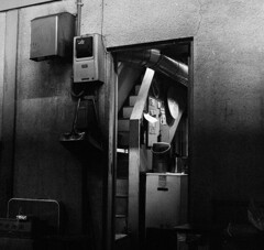 Back door