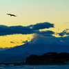 海の唄が聞こえる