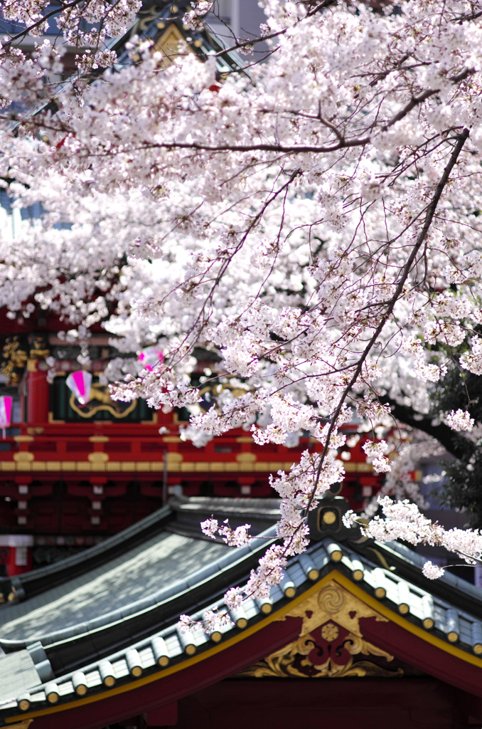 20120407_012_DA70Ltd