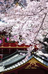 20120407_012_DA70Ltd