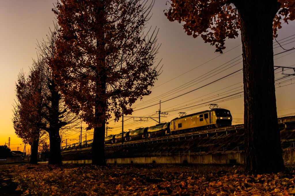 いつもの公園、がんばる機関車