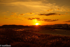 夕焼け小焼け