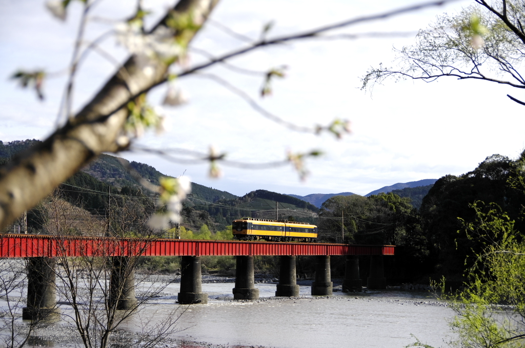 大井川鉄道、雨のち晴れ11
