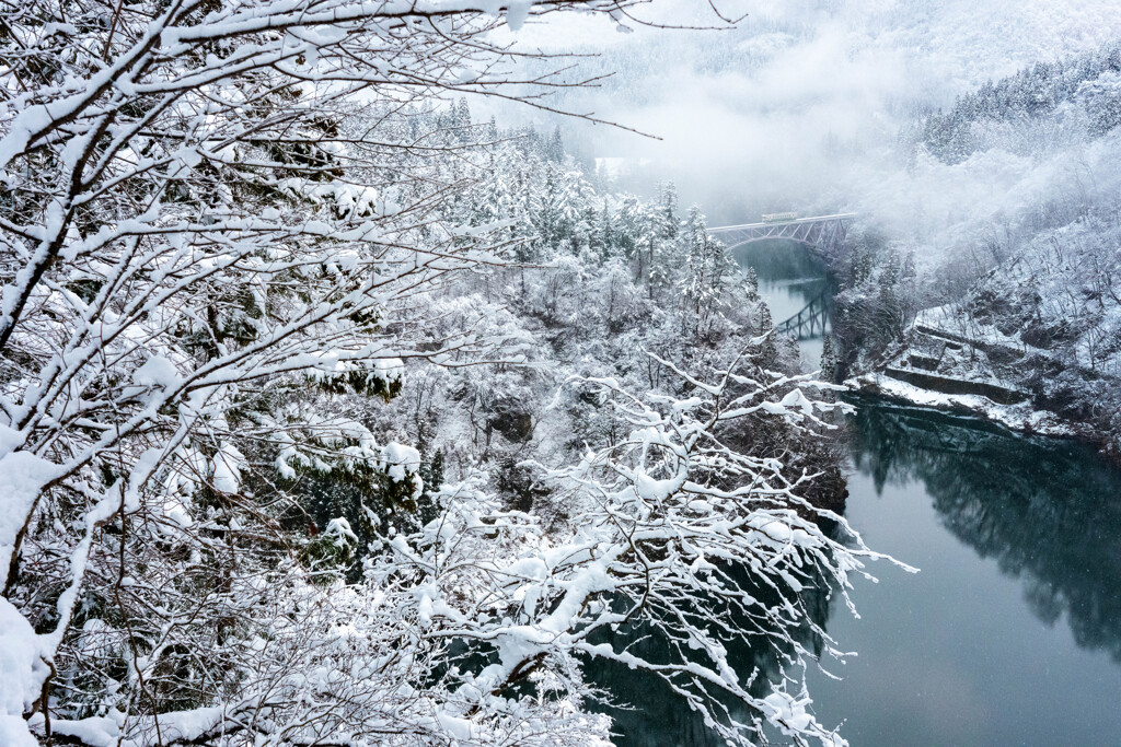 ホワイトマジック