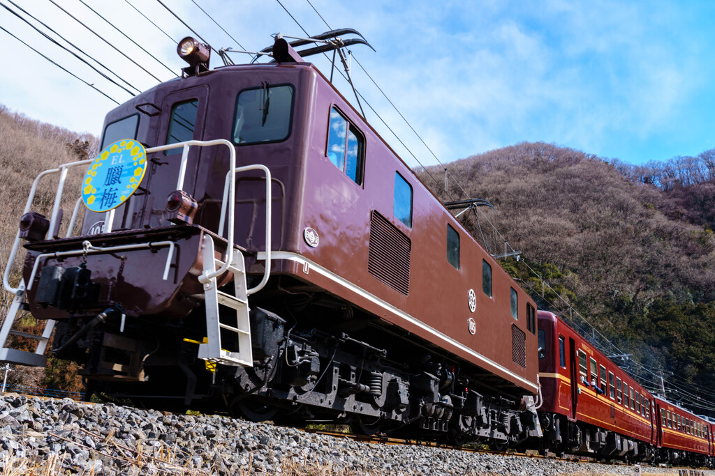 EL蝋梅号、ドーン