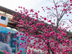 早春
