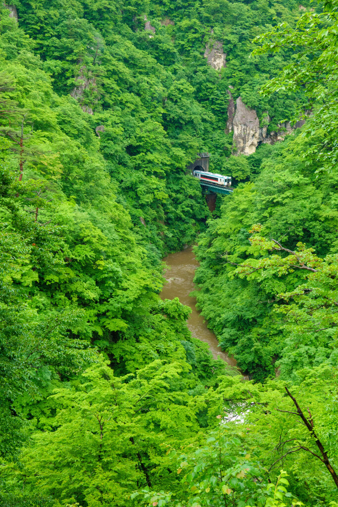 潤いの峡谷