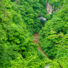 潤いの峡谷