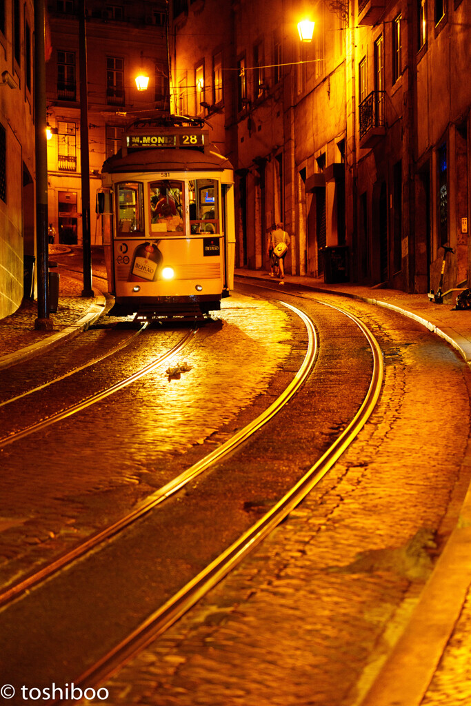 Night tram