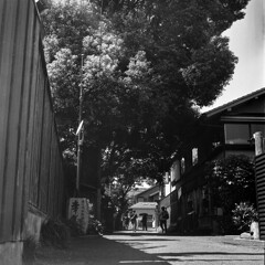 小路を行けば