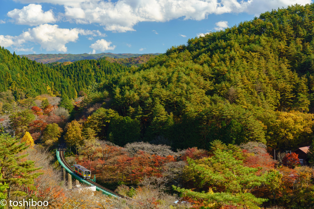秋旅に出よう