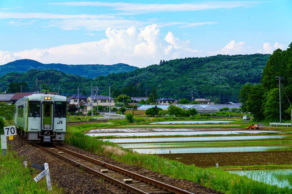 田植えの時期です。