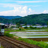 田植えの時期です。