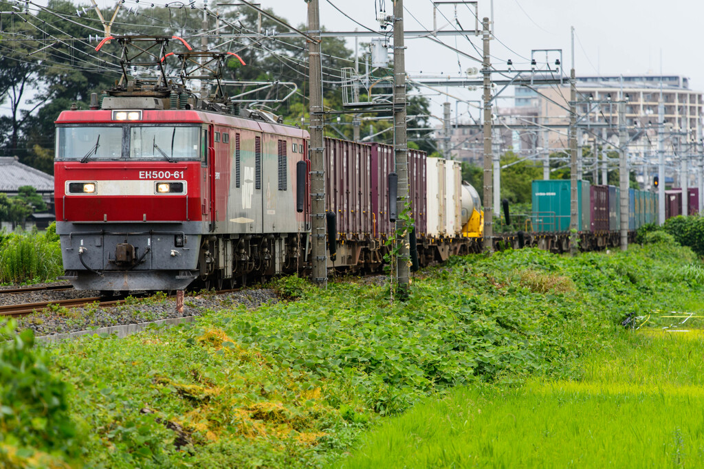 EH500-61