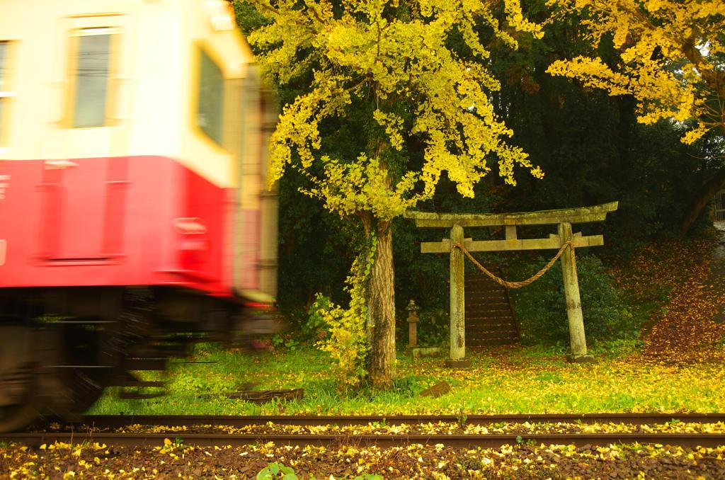 電車通りまーす。