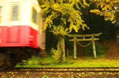 電車通りまーす。