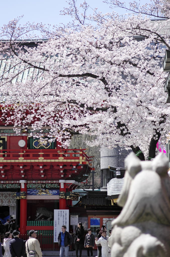 20120407_013_DA70Ltd