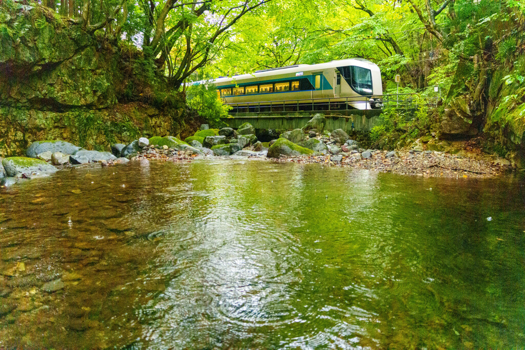 雨が波紋を描く