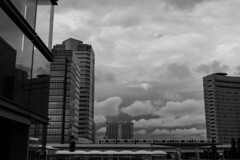 曇り空にゆりかもめ