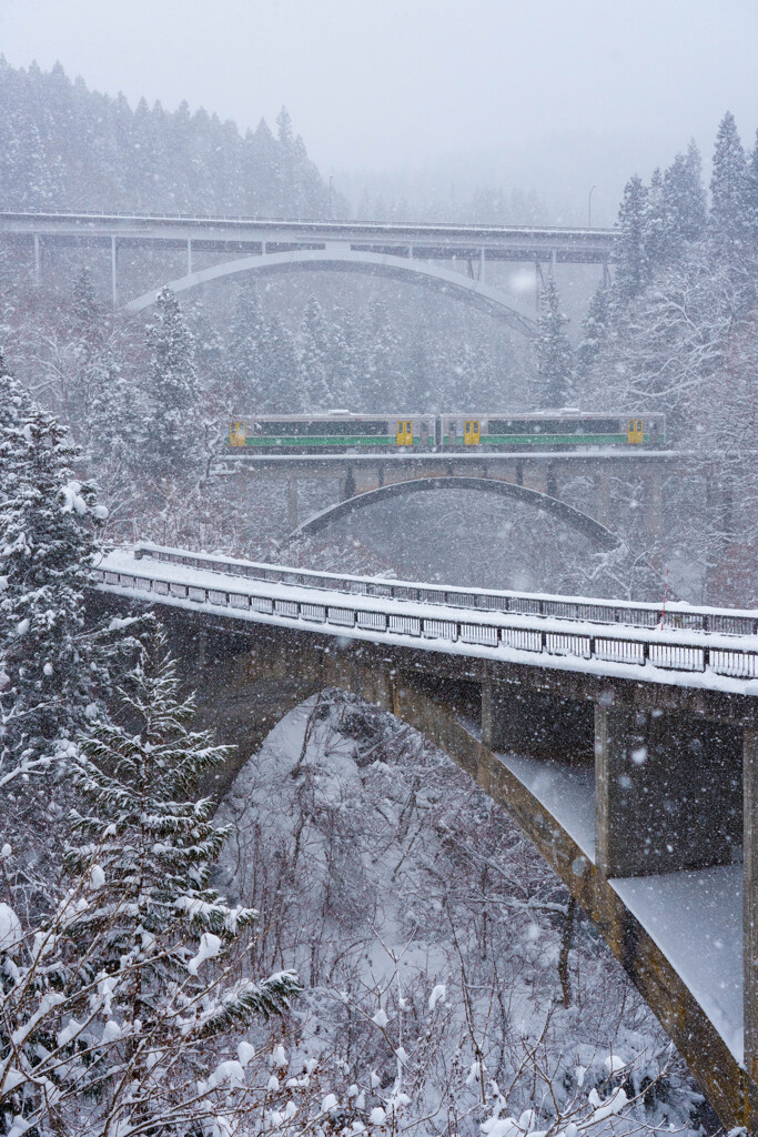 雪が降る