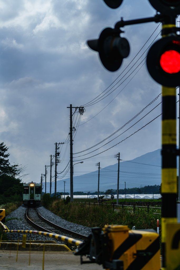 Signal