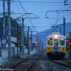 乗ってイルカ