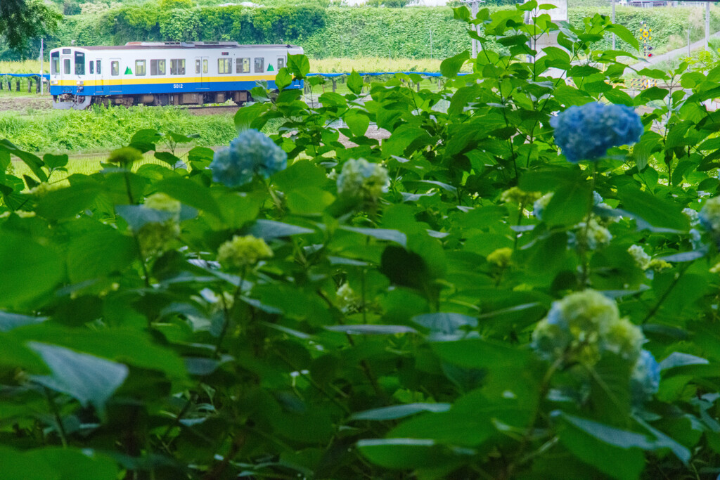 カンテツ
