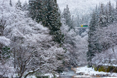 冬の峡谷を駆ける