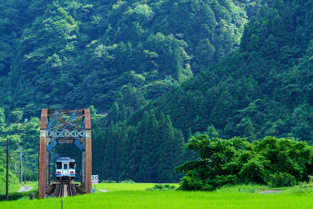 第五長良川橋梁、夏