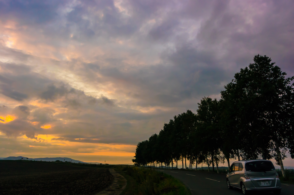 夕陽へ続く道