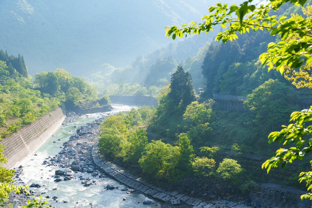 朝景春光