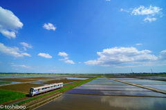 五月晴れの空を行く