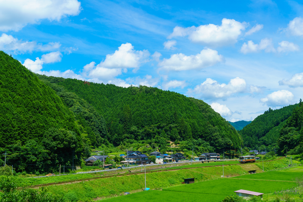 ローカル線の旅×夏