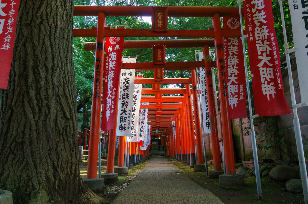 夏の午後は