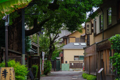 小江戸お写んぽ