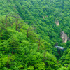 潤いの峡谷