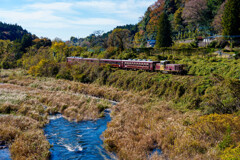 渓谷号が秋を往く
