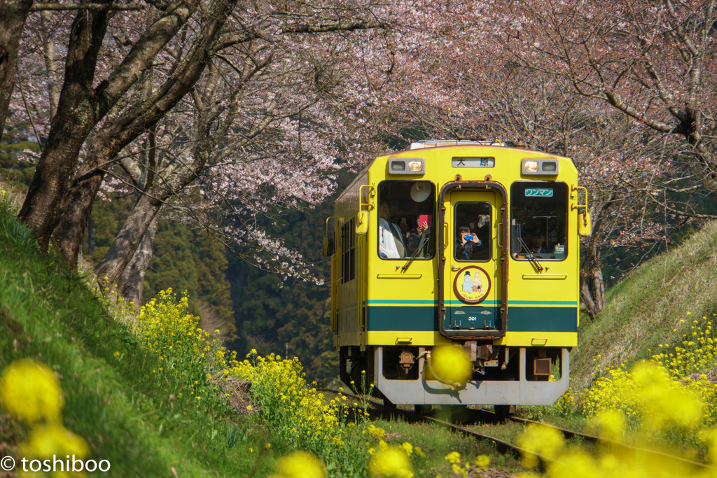 ムーミン谷、早春