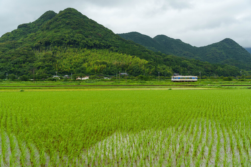 松浦鉄道遠征記