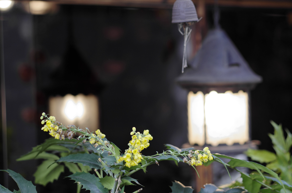 20120407_018_DA70Ltd