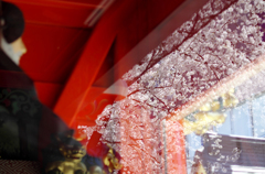 20120407_014_DA70Ltd