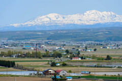 大雪山を臨む