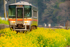 春雨の路