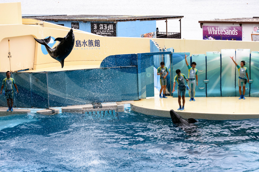 ジャーンプ！！