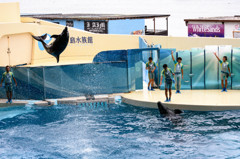 ジャーンプ！！
