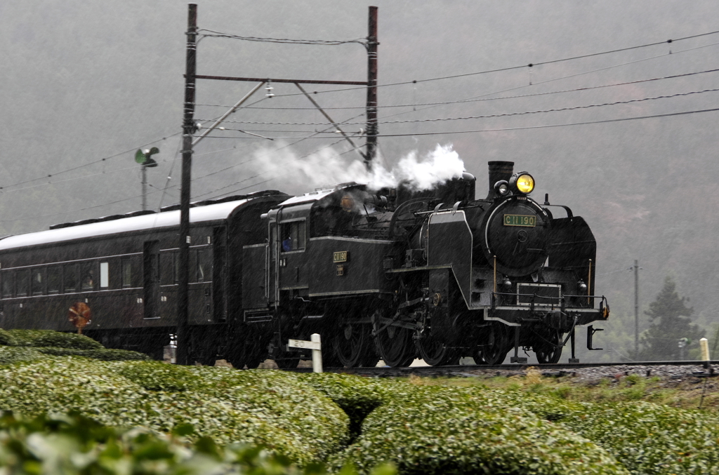 大井川鉄道、雨のち晴れ02