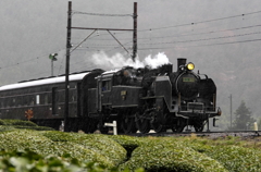 大井川鉄道、雨のち晴れ02