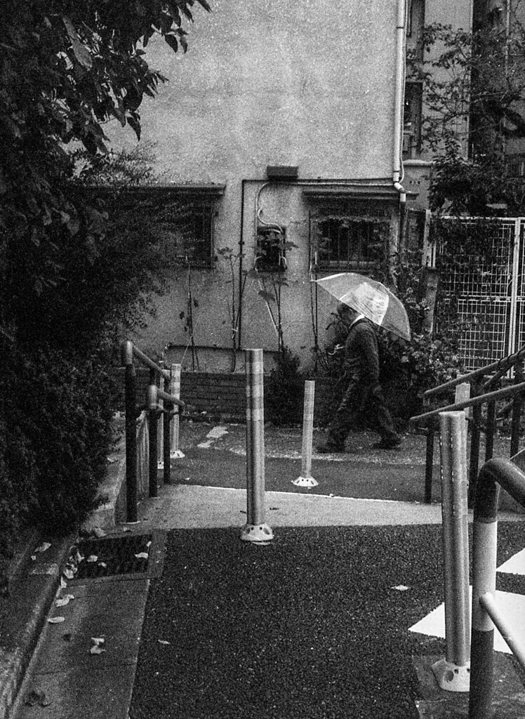 Rain