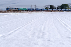 名残り雪