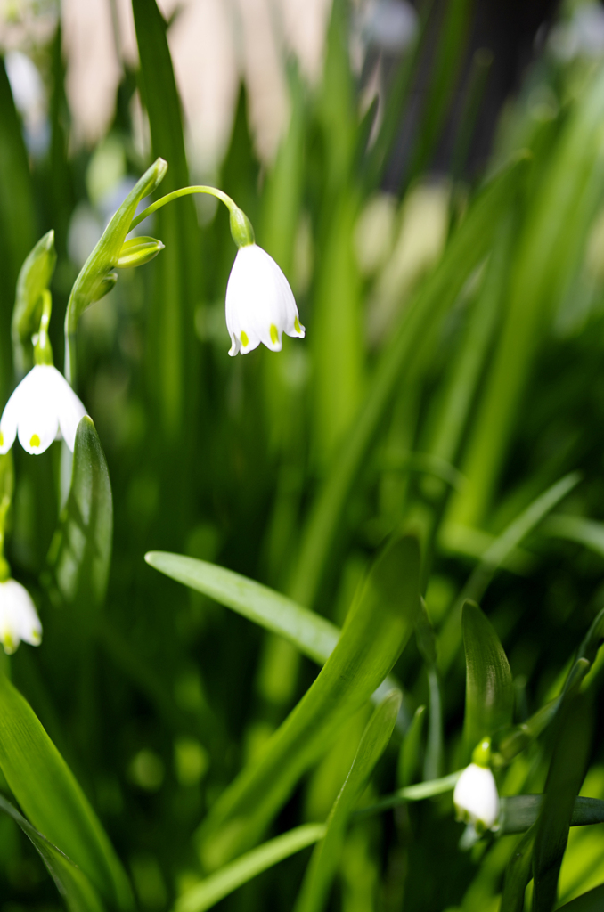 20120407_010_DA35mLtd